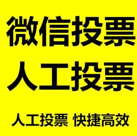 德宏傣族景颇族自治州微信网络投票快速操作及票数飙升秘诀大揭秘